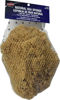 Dynamic 00006 8"-9" (20-23cm) Natural Sea Sponge